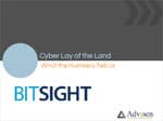 bitsight-webinar-slides-150x112