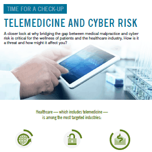 Telemedicine Security Risks Infographic