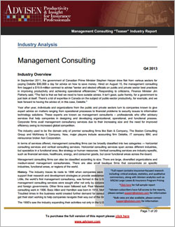 Management Consulting Industry Report Sample PDF